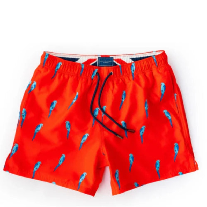 RED BOLD PARROT S