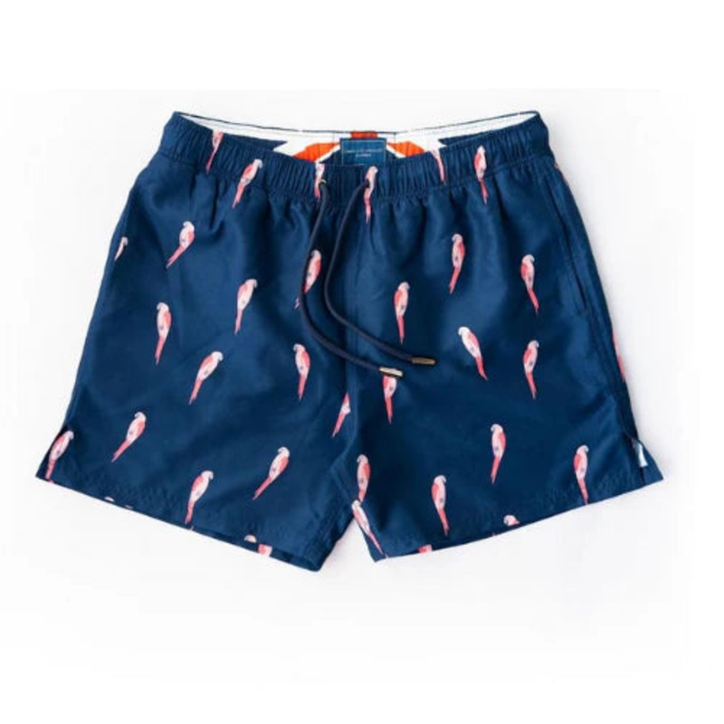 Navy Bold Parrot XS
