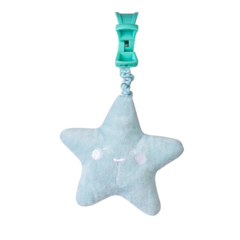 Saro Attachable Musical Mirror Mint