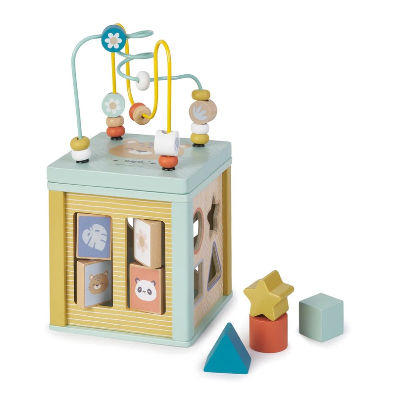 Saro Multi Activity Cube
