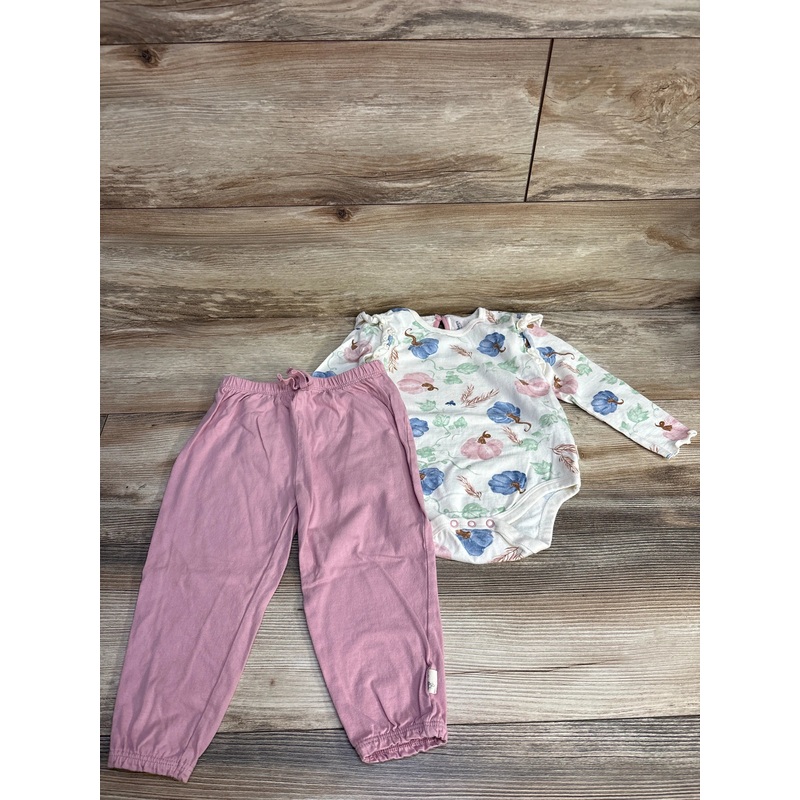 Burt's Bees Baby 2pc Pumpkin Bodysuit & Pants Set White sz 18m White 18m