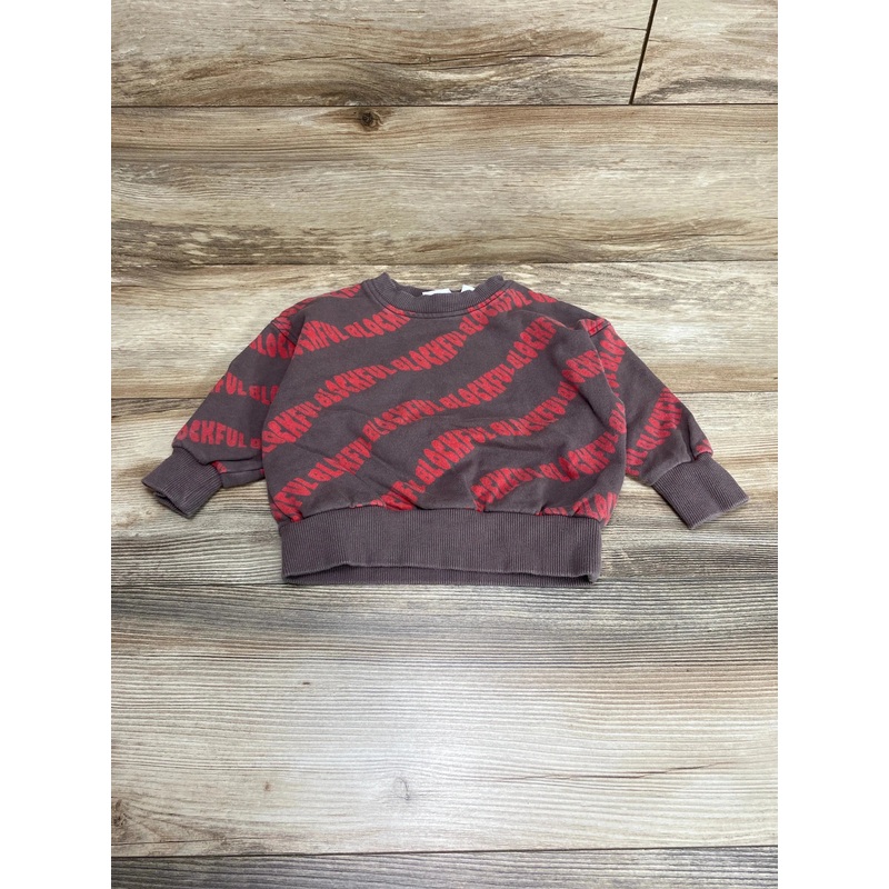 Zara Blockful Sweatshirt Brown sz 9-12m