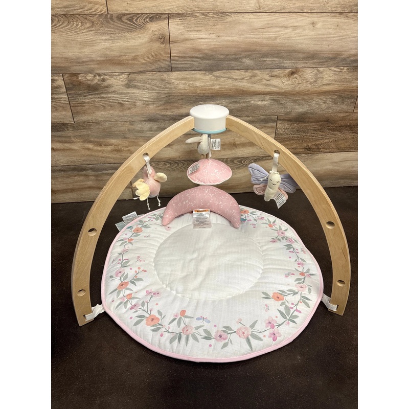 Aden & Anais Baby Activity Gym in Ma Fleur