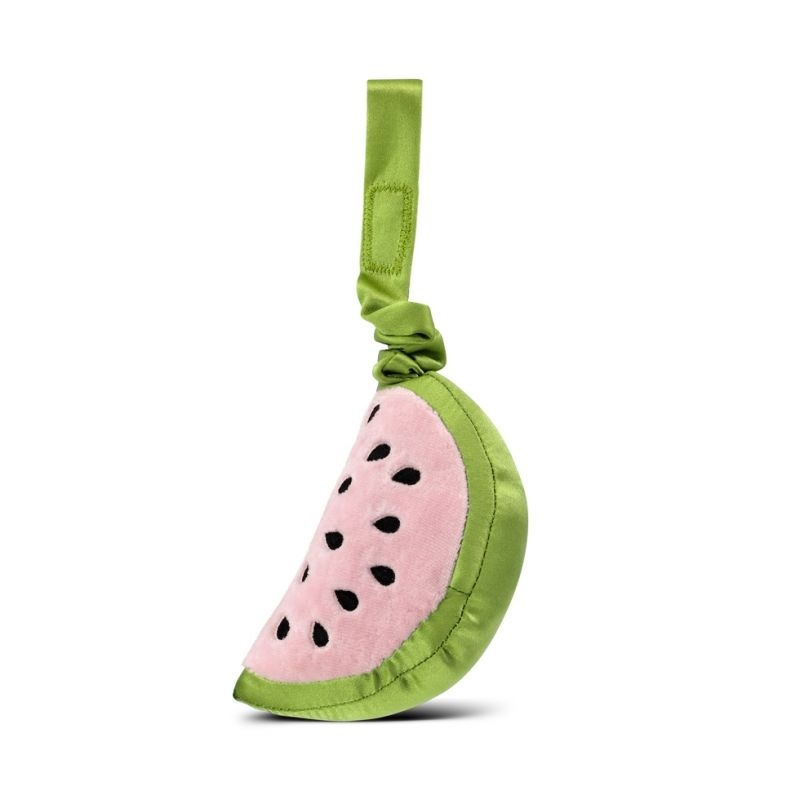 Apple Park Watermelon Stroller Toy