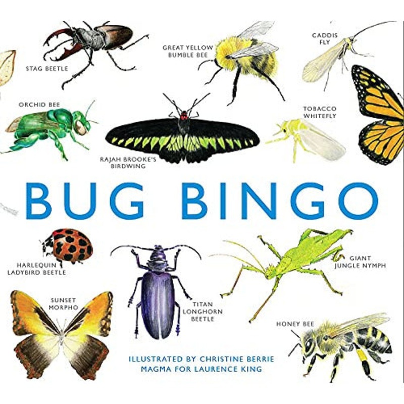 Bug Bingo Game