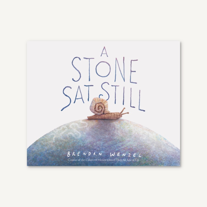 Chronicle Books A Stone Sat Still
