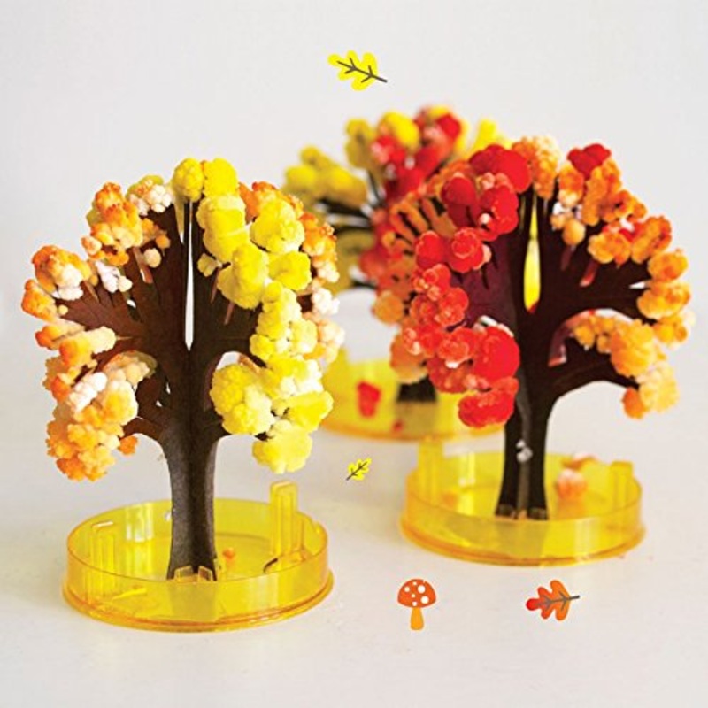 Copernicus Crystal Growing AUTUMN Kit