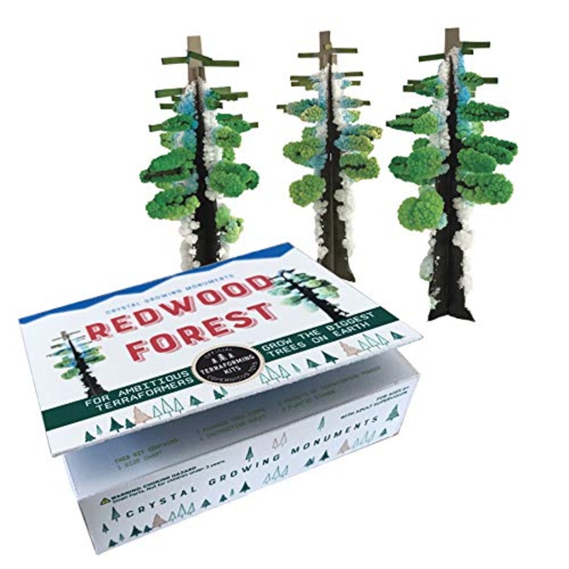 Copernicus Redwood Forest Crystal Kit