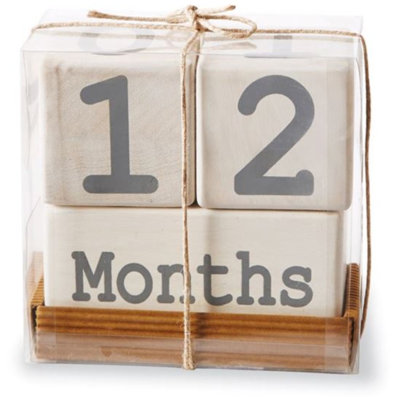 Mud Pie Milestone Blocks