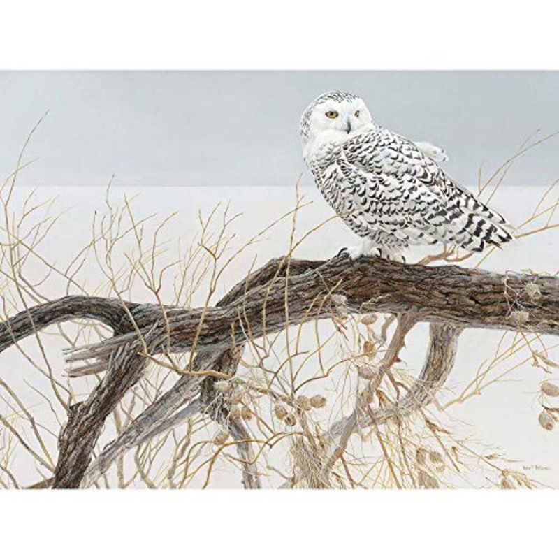 Cobble Hill Fallen Willow Snowy Owl 500 Piece Jigsaw Puzzle