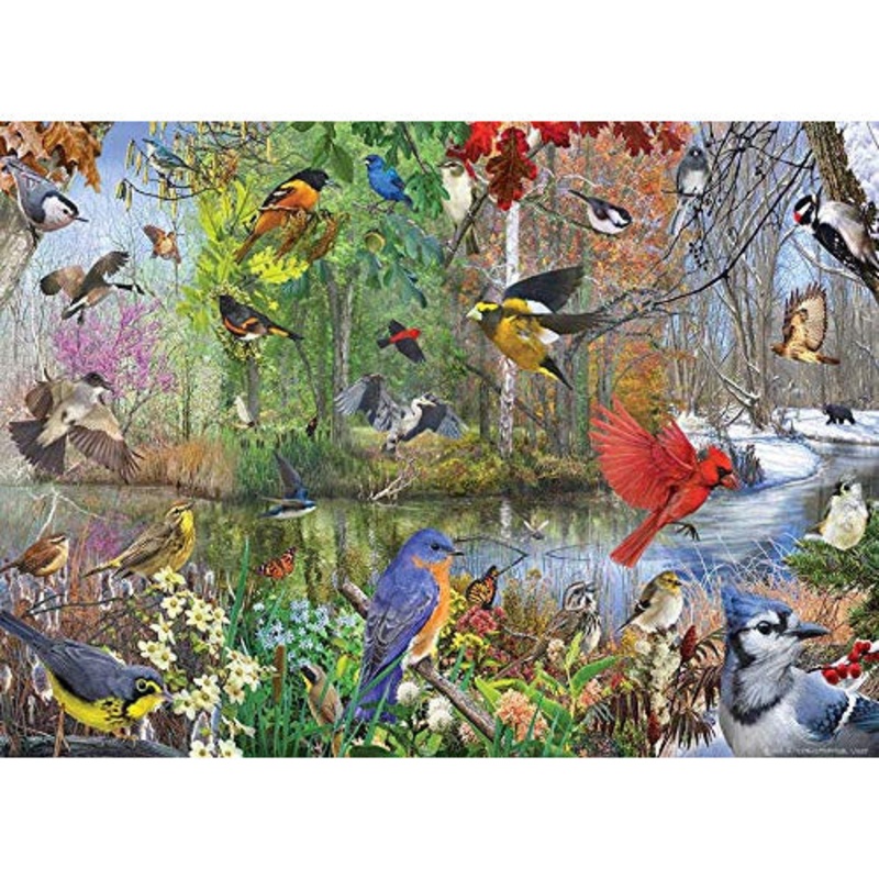 Cobble Hill - Birds of the Season - 1000 Piece Puzzle