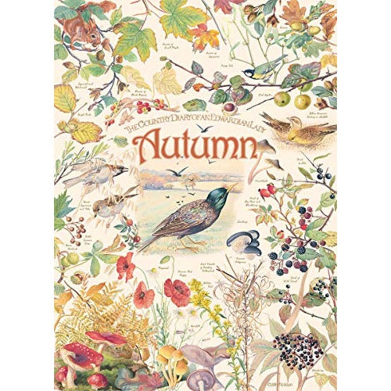 Cobble Hill - Country Diary: Autumn - 1000 Piece Puzzle