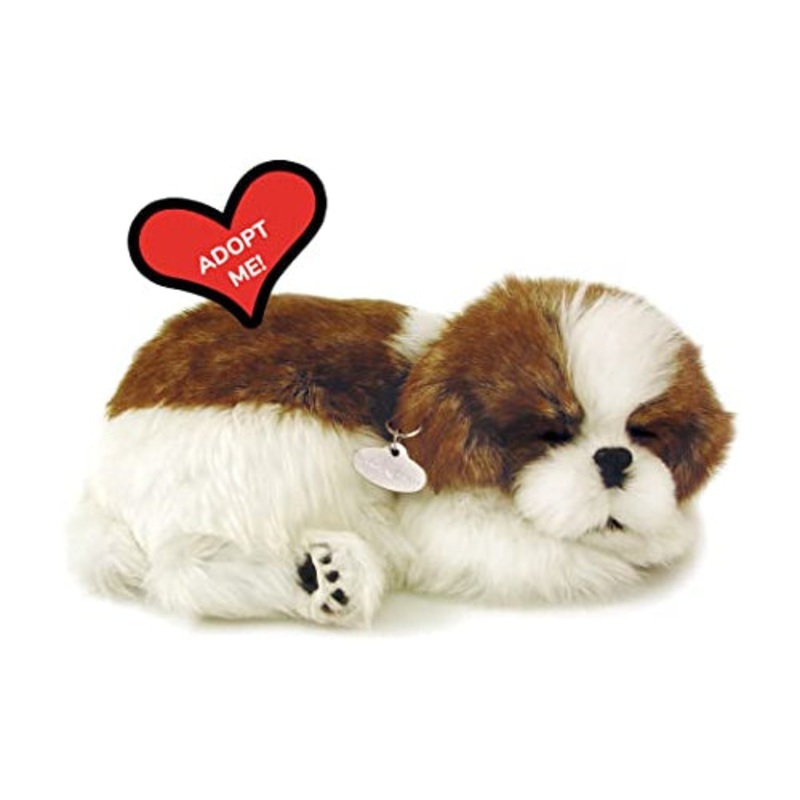 PERFECT PETZZZ Shih Tzu