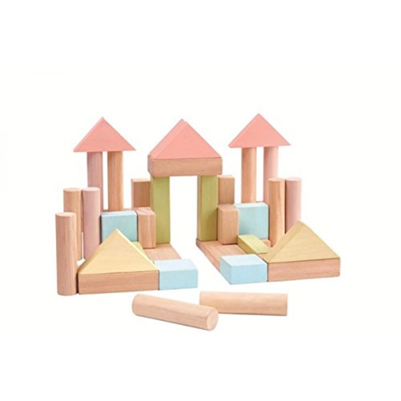 Plantoys-40 Unit Blocks