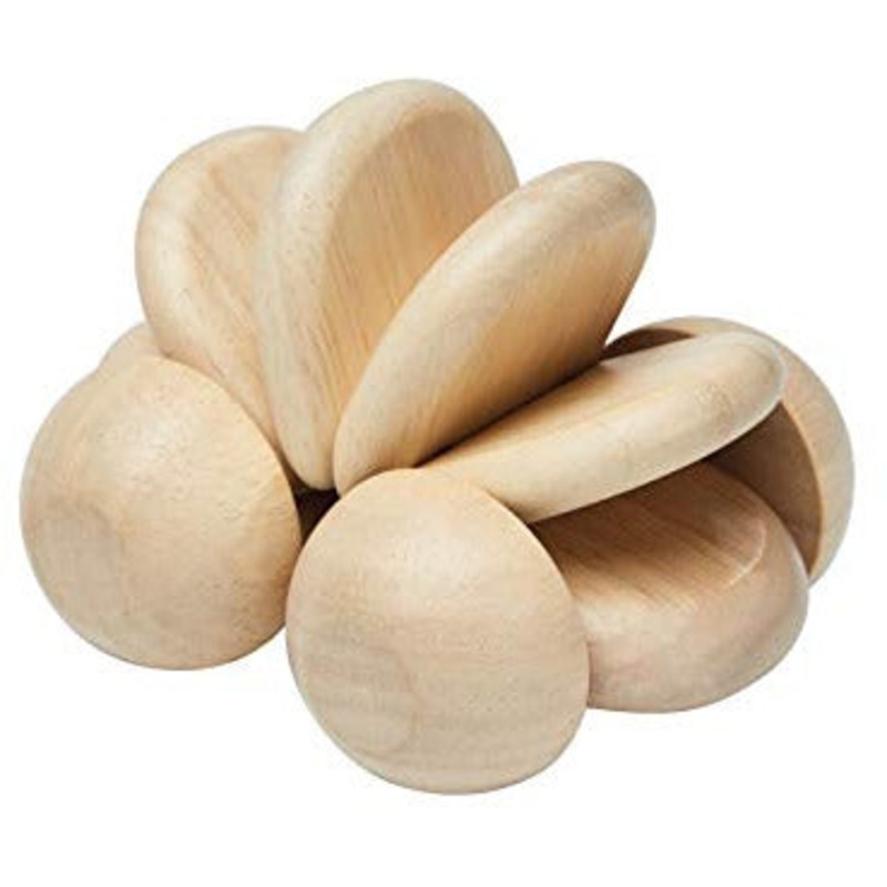 PlanToys Wooden Baby Car Push and Pull Toy