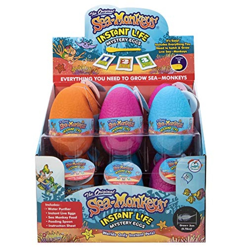 Schylling Toys Sea-Monkey Eggs Instant Life