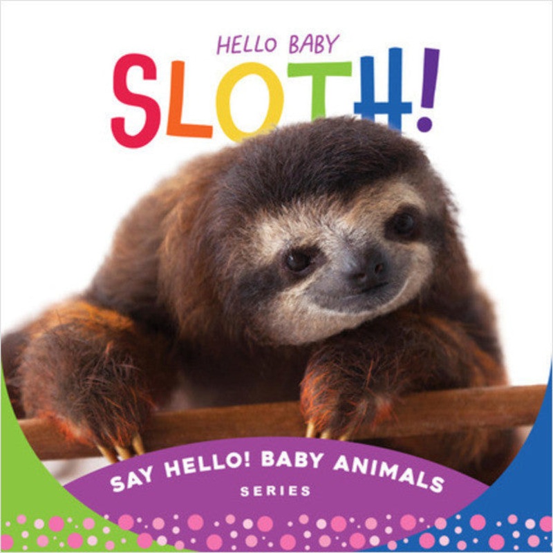 Sleeping Bear Press Hello Baby Sloth! Book