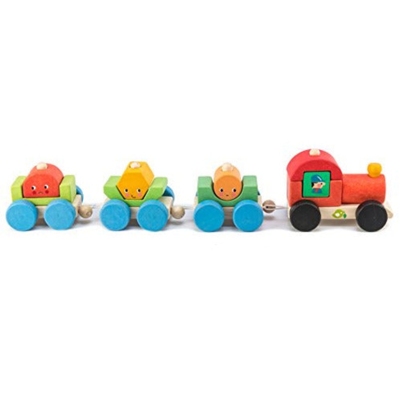 Tender Leaf Toys Happy Train