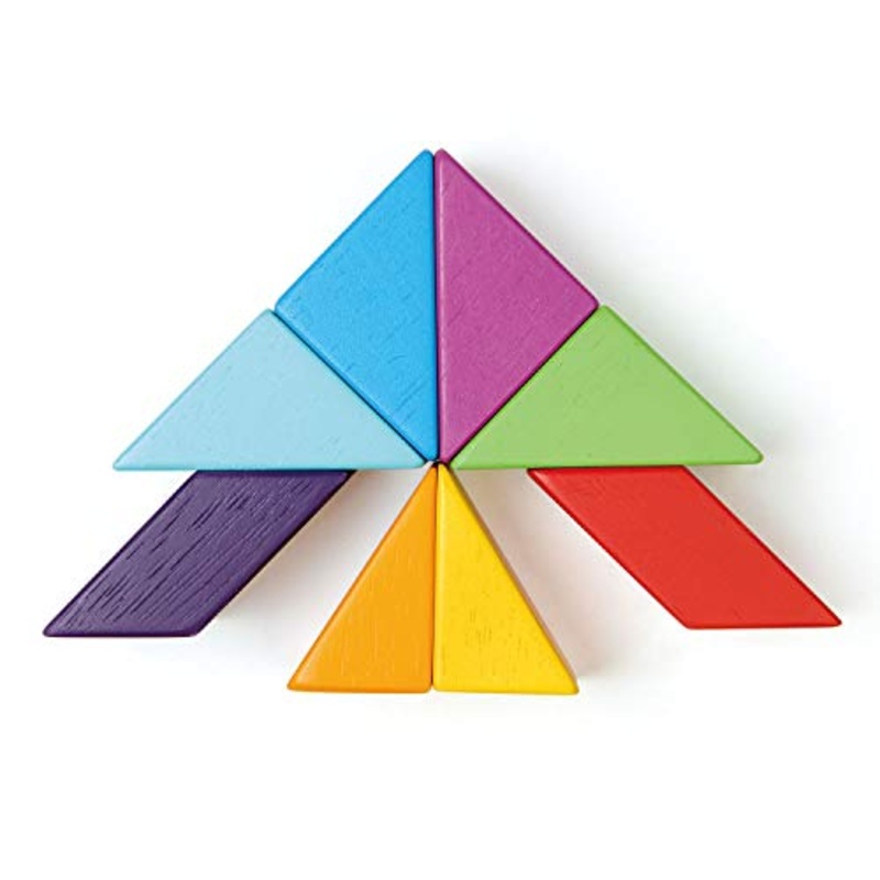 Tender Leaf Toys Designer Magblocs