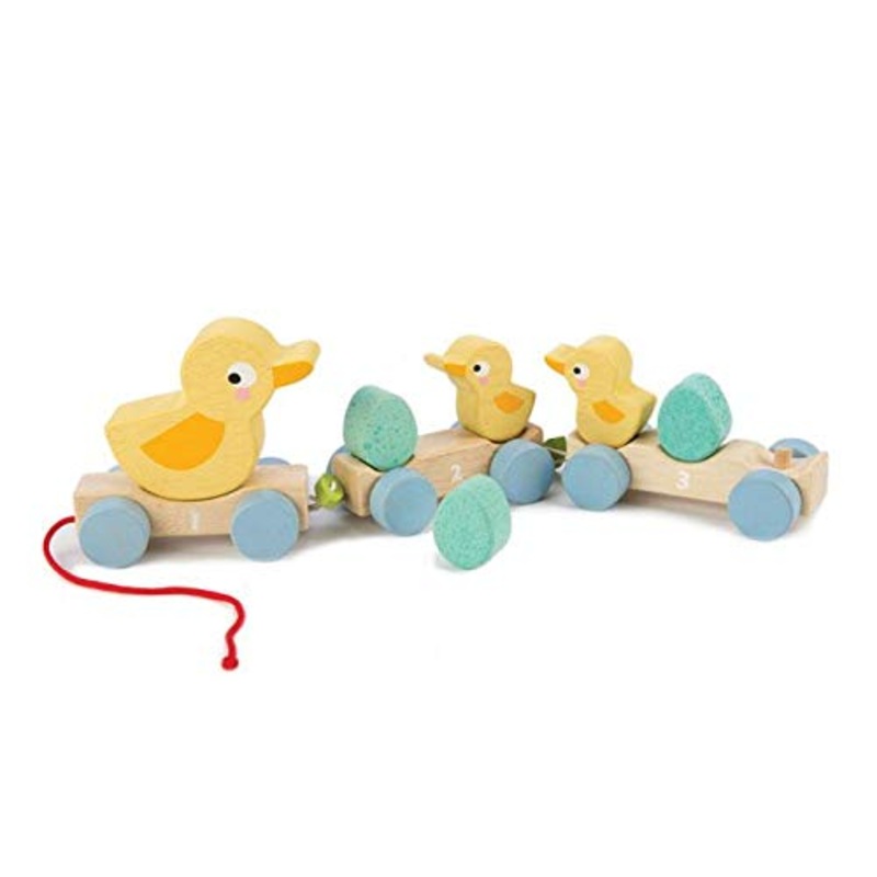 Tender Leaf Toys Pull Along Ducks