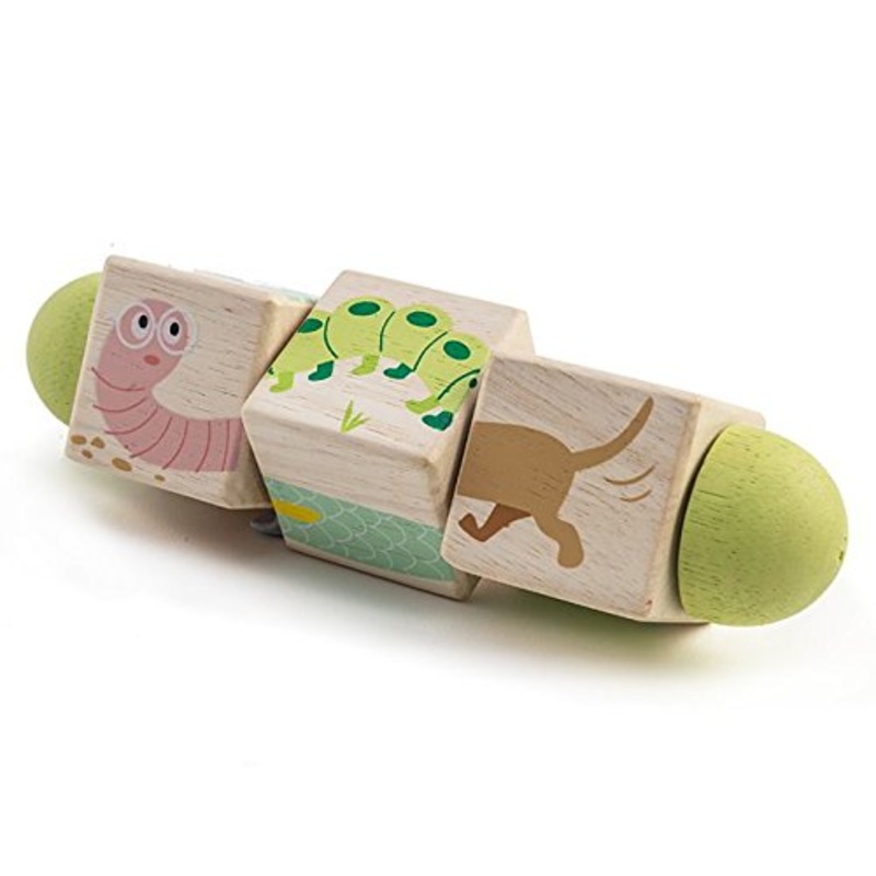 Tender Leaf Toys Twisting Cubes