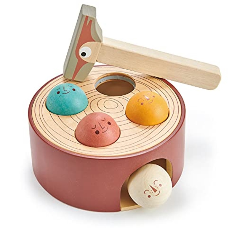 Tender Leaf Toys - Woodpecker Game Toy Set for Kids