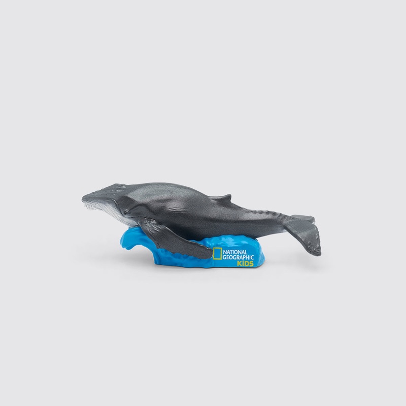 tonie - National Geographic Kids: Whale