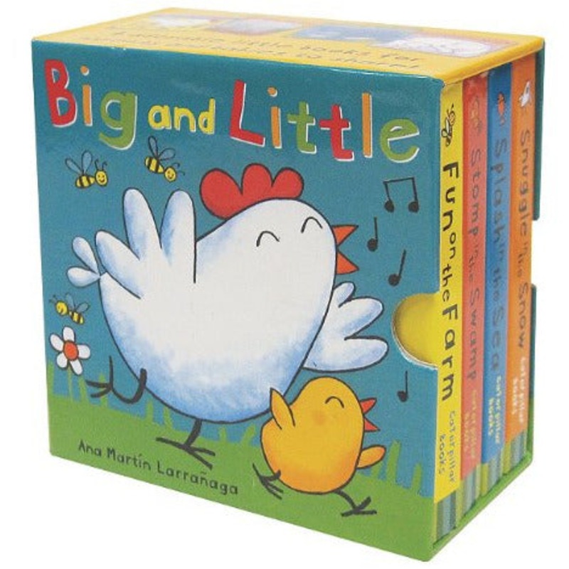 Usborne Books Big and Little Box Set