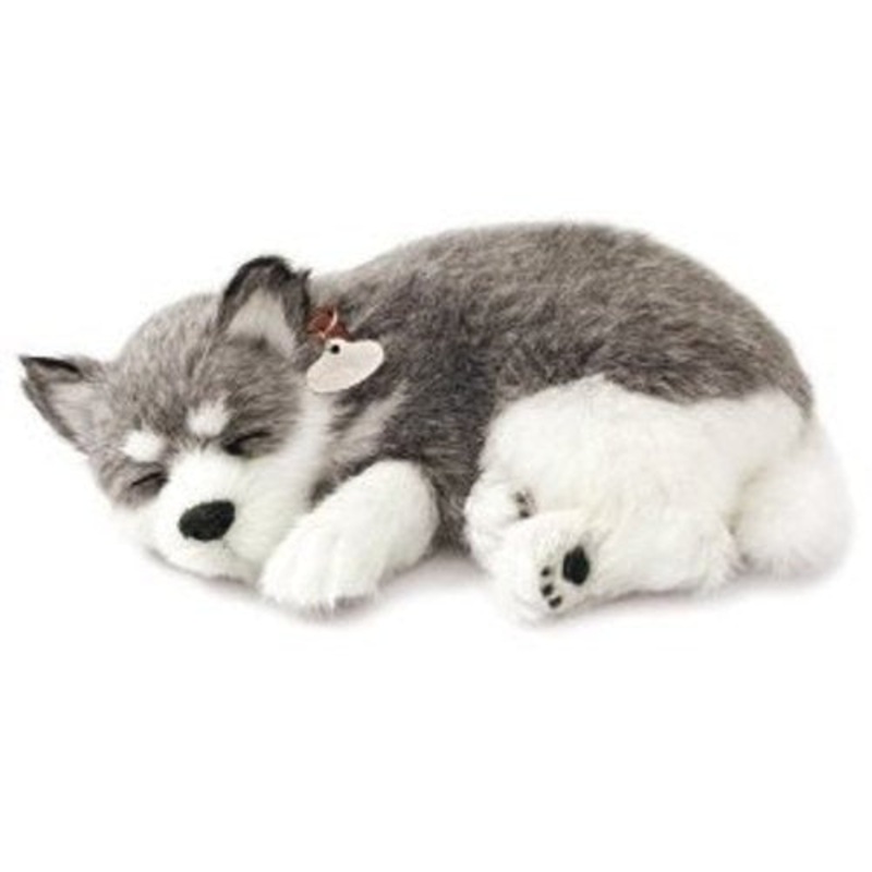 PERFECT PETZZZ Alaskan Husky