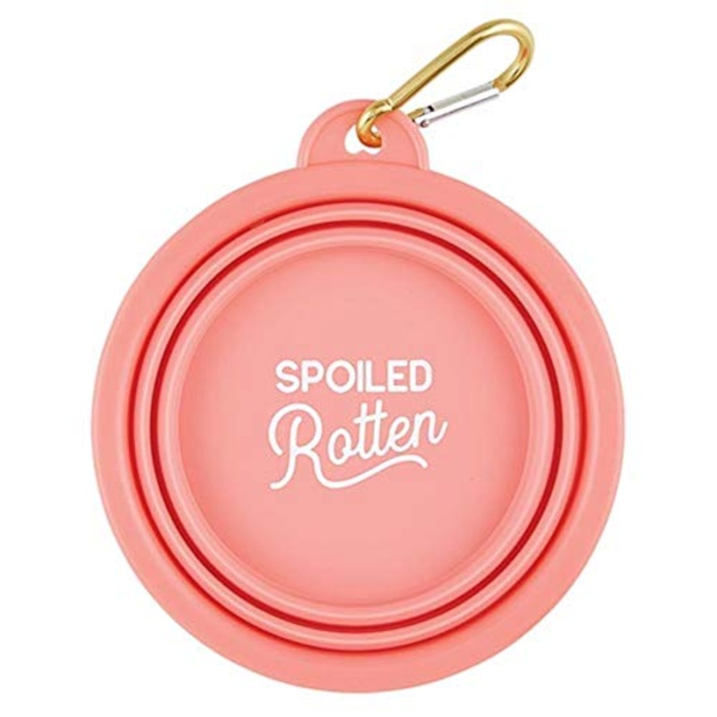 Santa Barbara Design Studio Collapsible Bowl - Spoiled Rotten