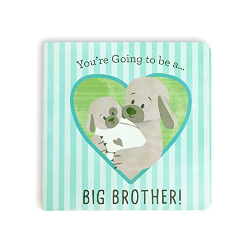 Demdaco-You're going to be a Big Brother Book