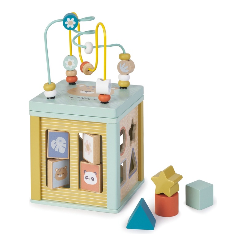 Saro Multi-Activity Cube