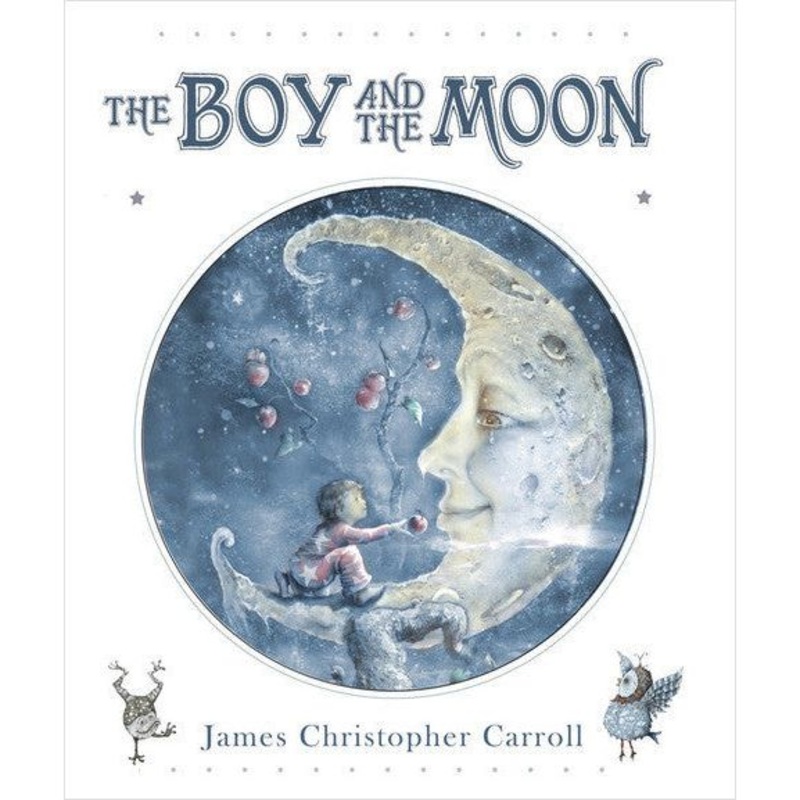 Sleeping Bear Press The Boy And The Moon Hardcover Book